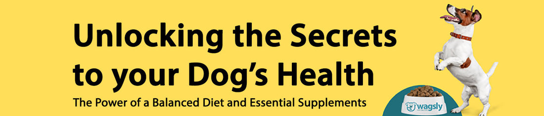 Unlocking the Secrets to Your Dog's Health