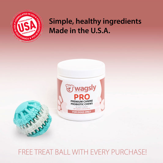 Pro - Probiotic Chews