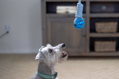 Tug of War - Rope Toy